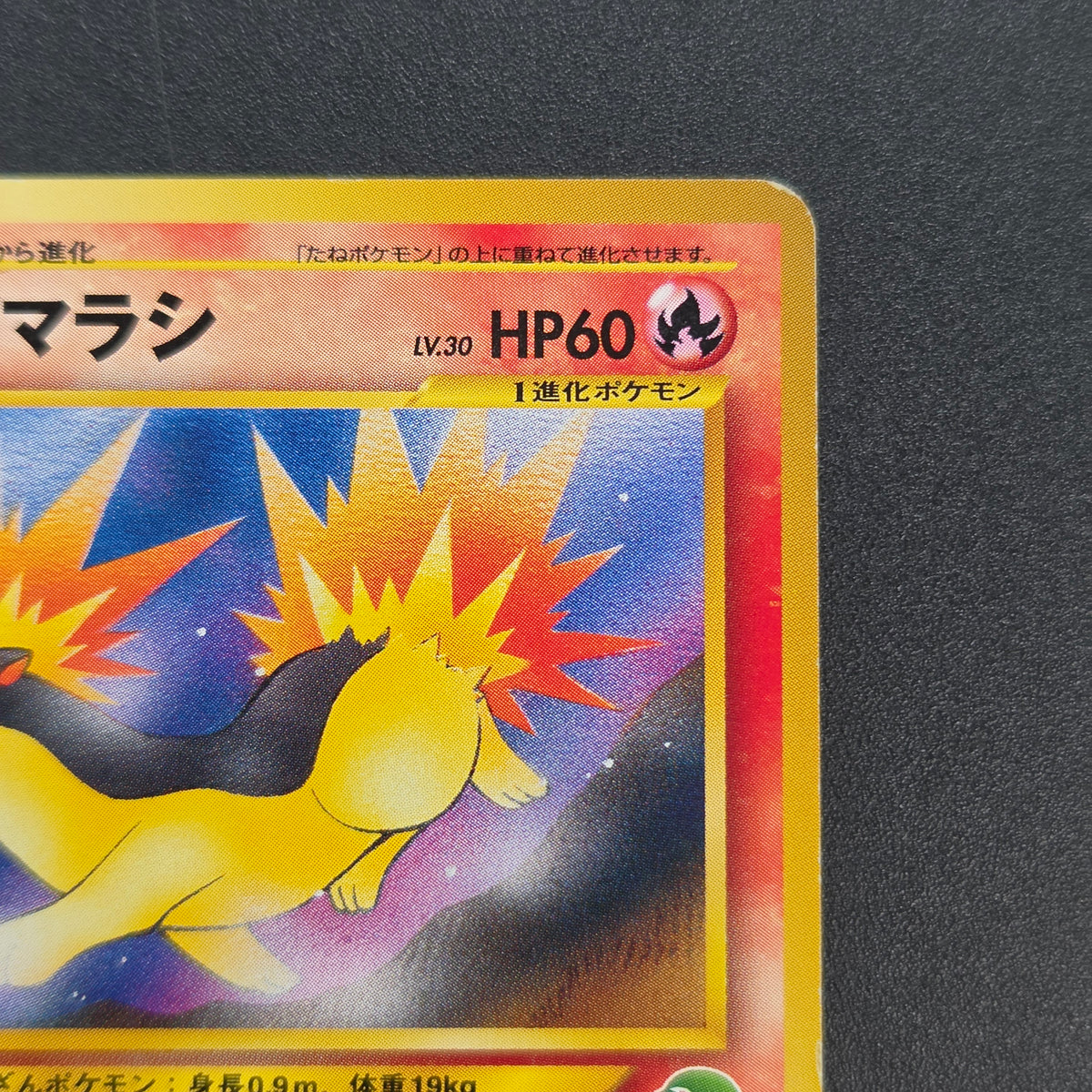 Quilava 156 Intro Pack Chikorita Half Deck Pokémon Card