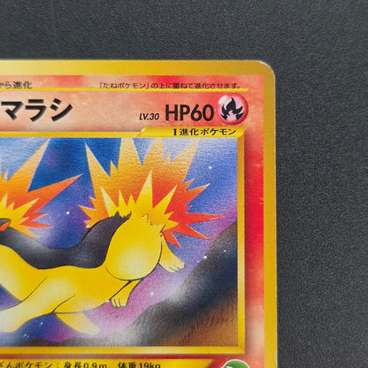 Quilava 156 Intro Pack Chikorita Half Deck Pokémon Card