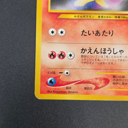 Quilava 156 Intro Pack Chikorita Half Deck Pokémon Card