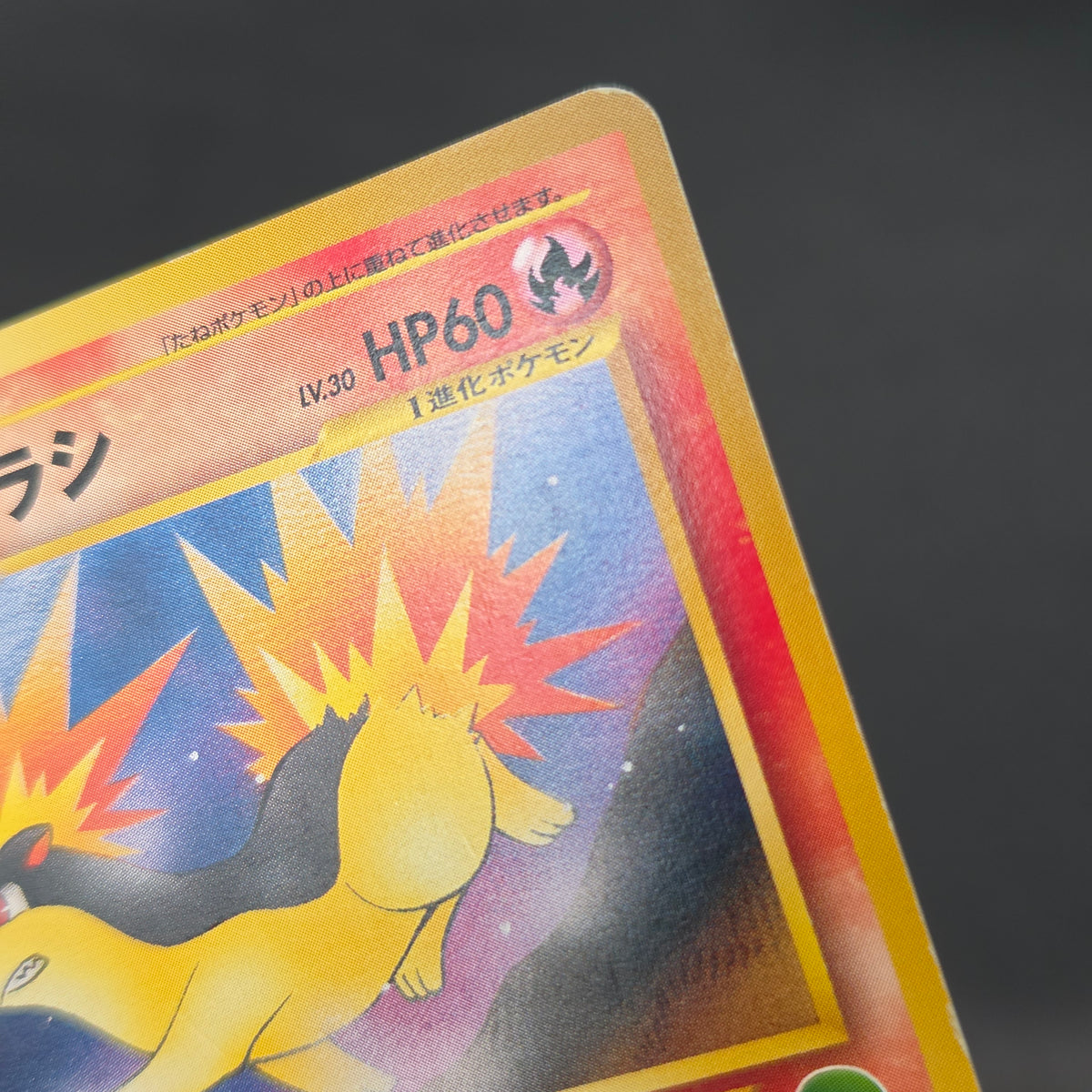 Quilava 156 Intro Pack Chikorita Half Deck Pokémon Card