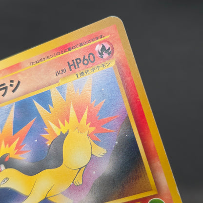 Quilava 156 Intro Pack Chikorita Half Deck Pokémon Card