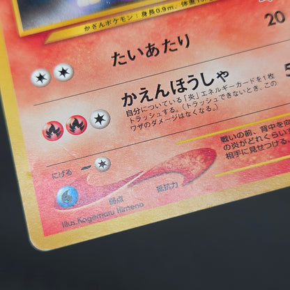 Quilava 156 Intro Pack Chikorita Half Deck Pokémon Card