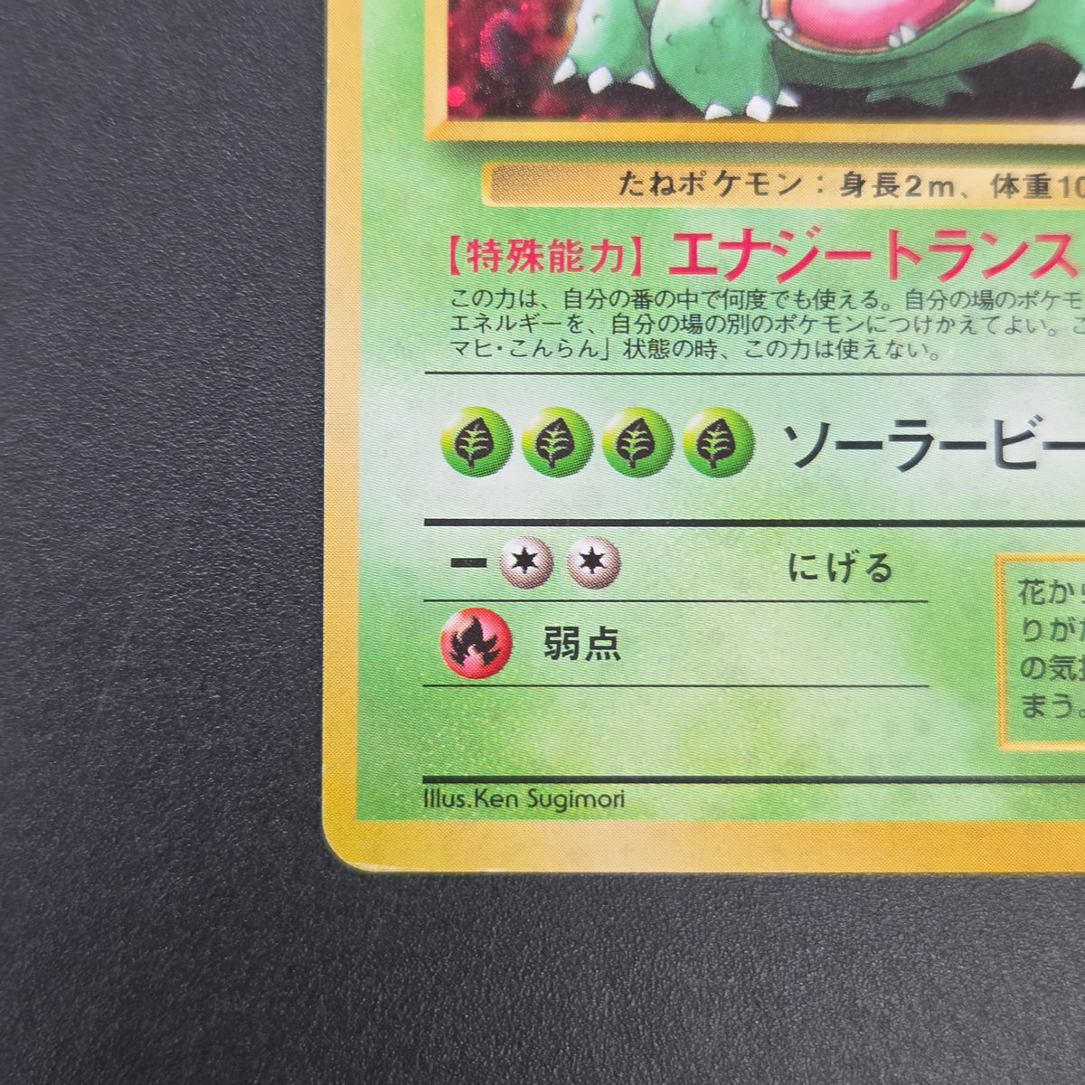 Venusaur CD Promo Trade Please Holo Japanese Pokemon Card
