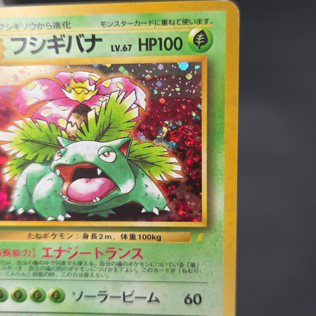 Venusaur CD Promo Trade Please Holo Japanese Pokemon Card