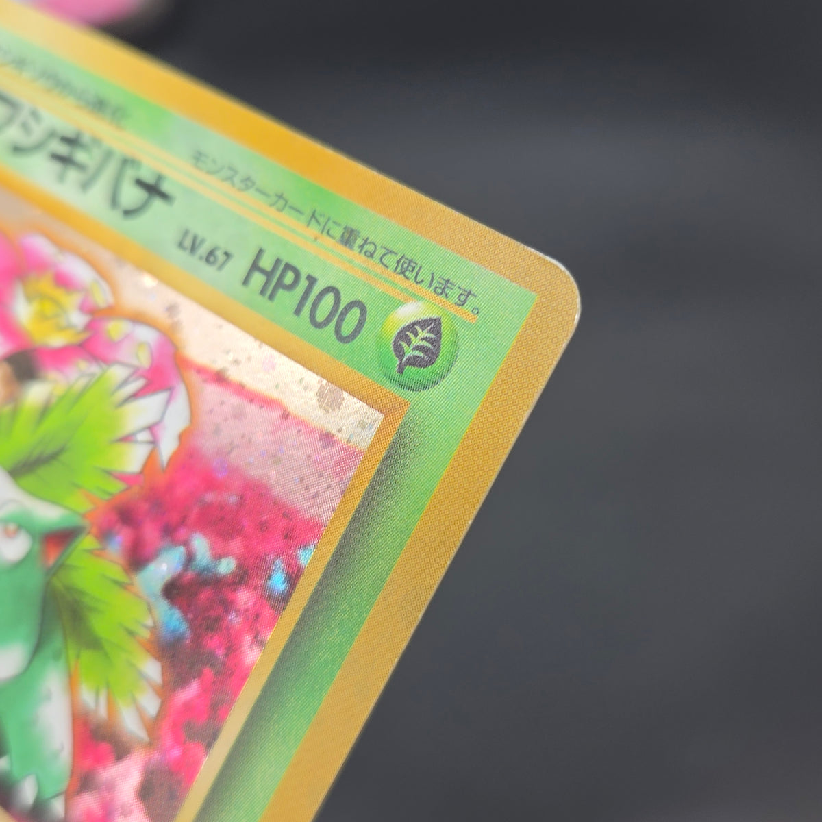 Venusaur CD Promo Trade Please Holo Japanese Pokemon Card