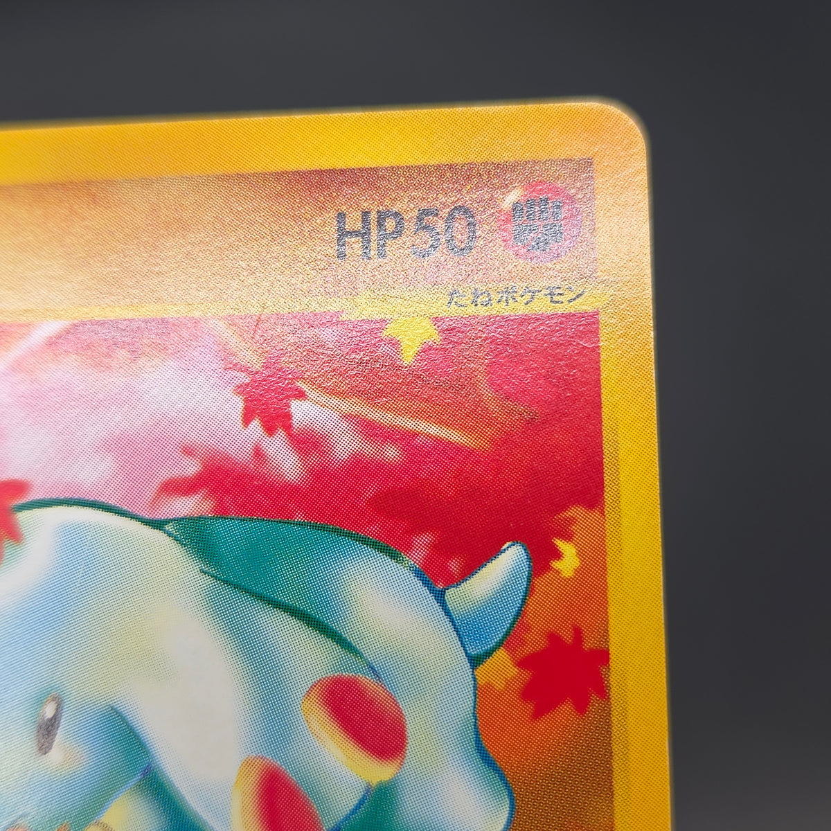 Phanpy 017/018 McDonald's Promo E-Series Pokemon Card