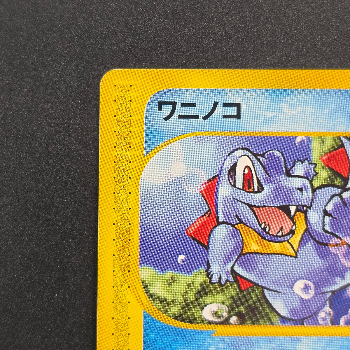 Totodile 008/018 McDonald's Original Minimum Pokémon Card