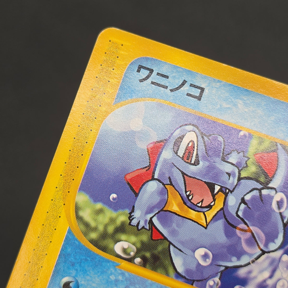 Totodile 008/018 McDonald's Original Minimum Pokémon Card