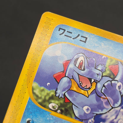 Totodile 008/018 McDonald's Original Minimum Pokémon Card