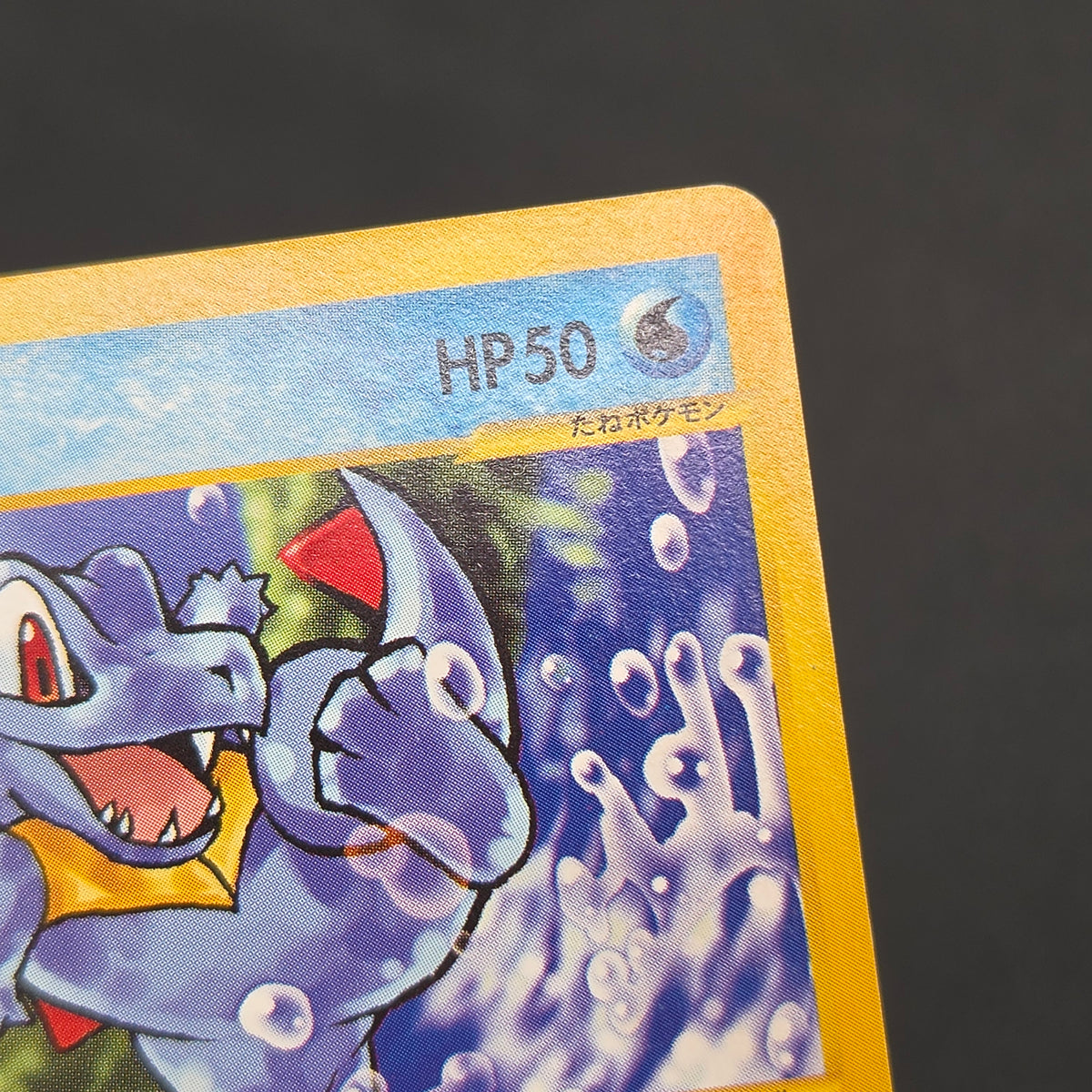Totodile 008/018 McDonald's Original Minimum Pokémon Card