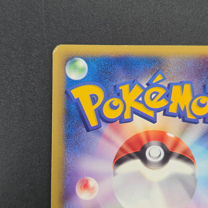 Larvitar 018/018 McDonald's Holo Promo Pokémon Card