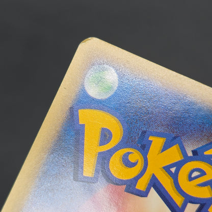 Larvitar 018/018 McDonald's Holo Promo Pokémon Card