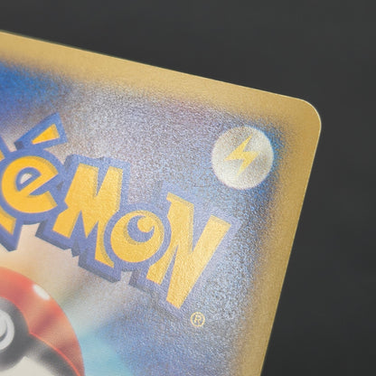 Larvitar 018/018 McDonald's Holo Promo Pokémon Card
