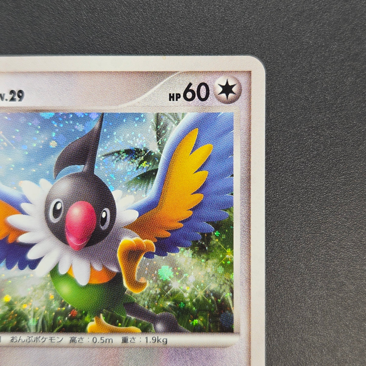 Chatot 032/DPt-P Challenge Hiroba Promo Pokémon Card