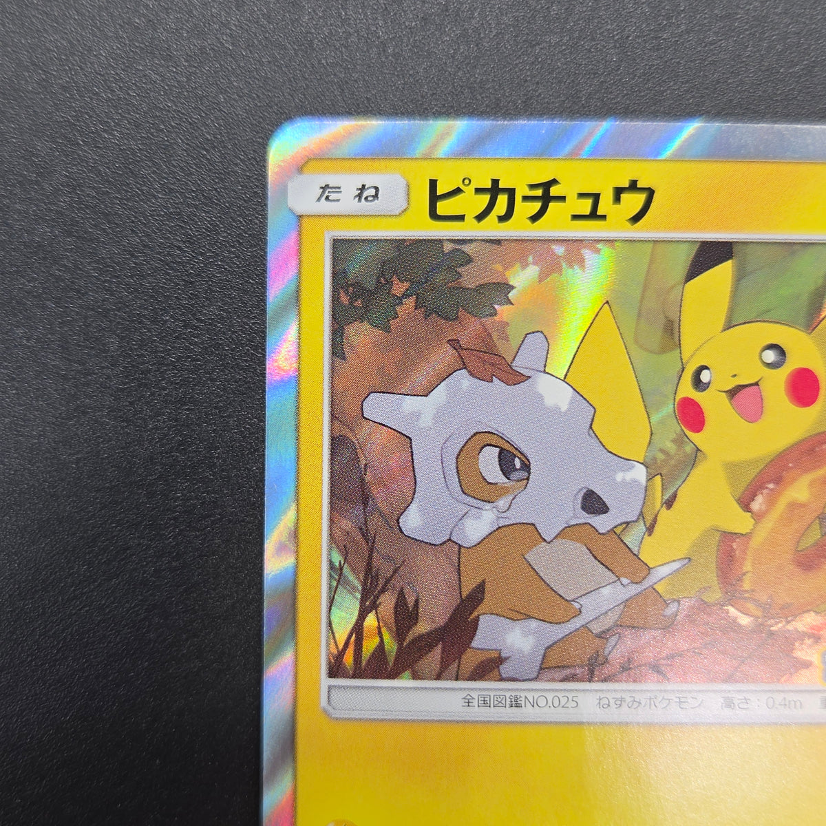 Pikachu 200/SM-P Friendry Shop Promo Pokemon Card