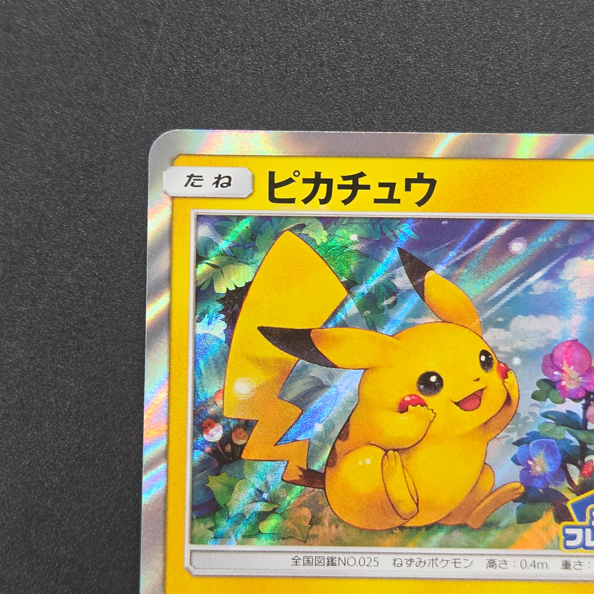 Pikachu 179/SM-P Holo Friendly Shop Promo Pokemon Card