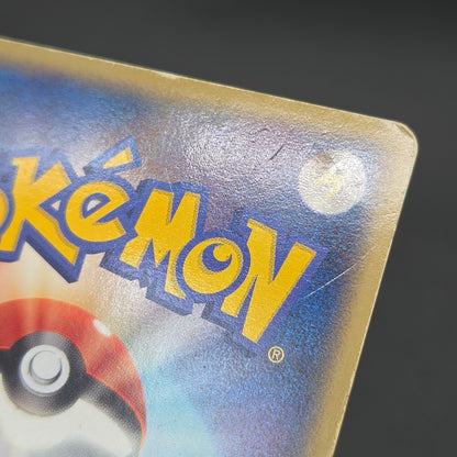 Blaziken ex 018/080 EX Team Magma vs Aqua Pokemon Card