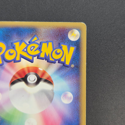 PokePark's Pikachu 043/PCG-P Promo Japanese Pokémon Card