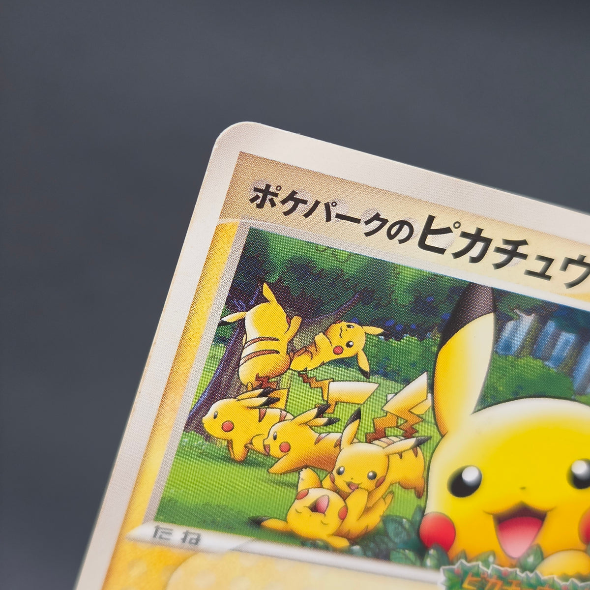 PokePark's Pikachu 043/PCG-P Promo Japanese Pokémon Card