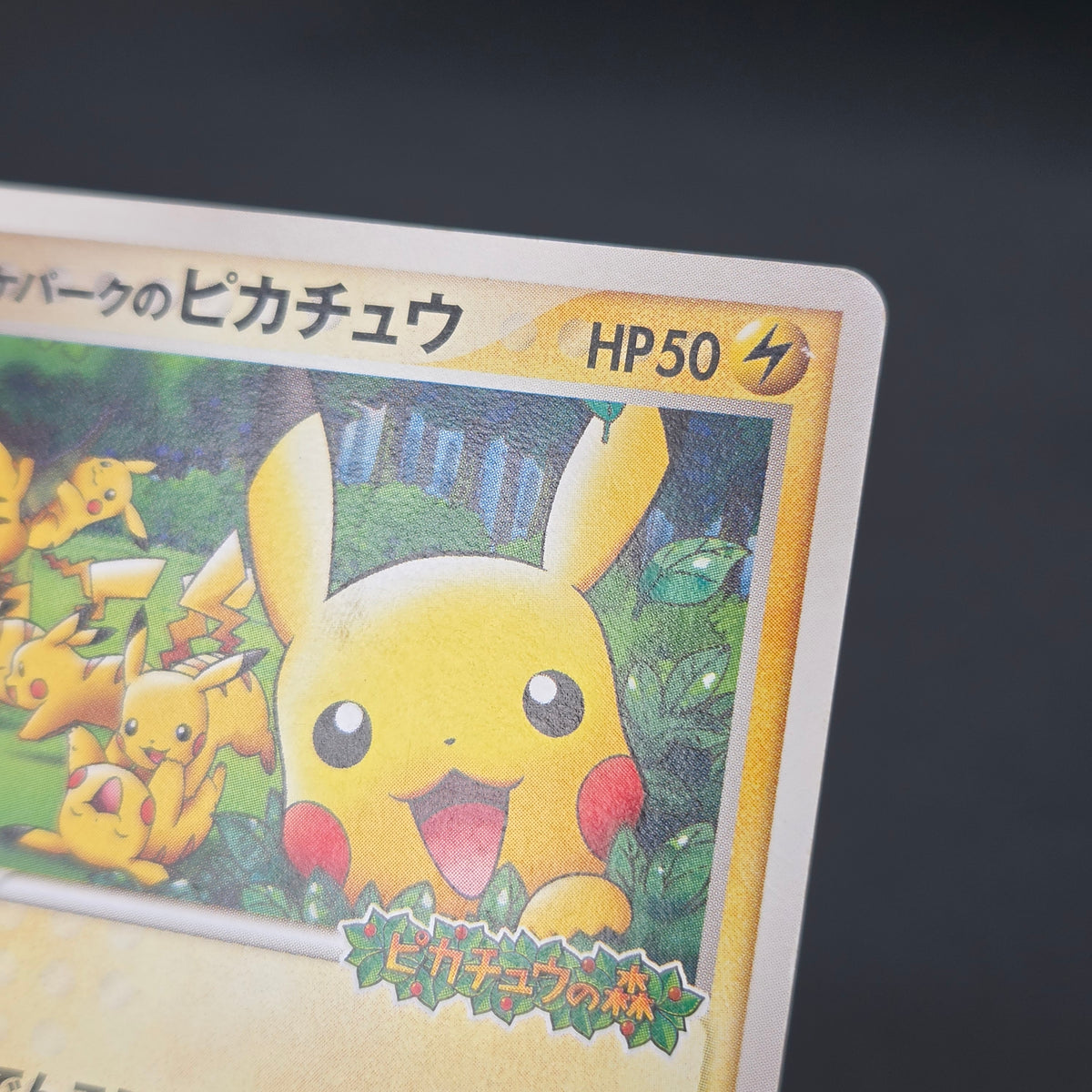 PokePark's Pikachu 043/PCG-P Promo Japanese Pokémon Card