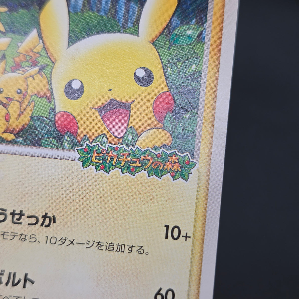 PokePark's Pikachu 043/PCG-P Promo Japanese Pokémon Card
