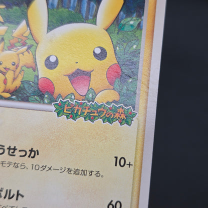 PokePark's Pikachu 043/PCG-P Promo Japanese Pokémon Card