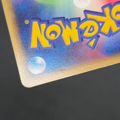 PokePark's Pikachu 043/PCG-P Promo Japanese Pokémon Card