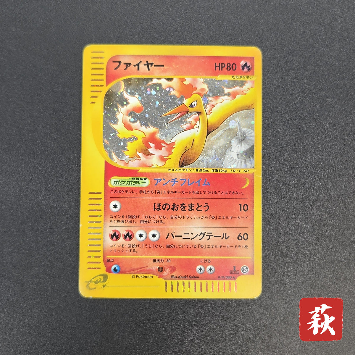 Moltres 019/088 Mysterious Mountains Holo 1st Ed e Card