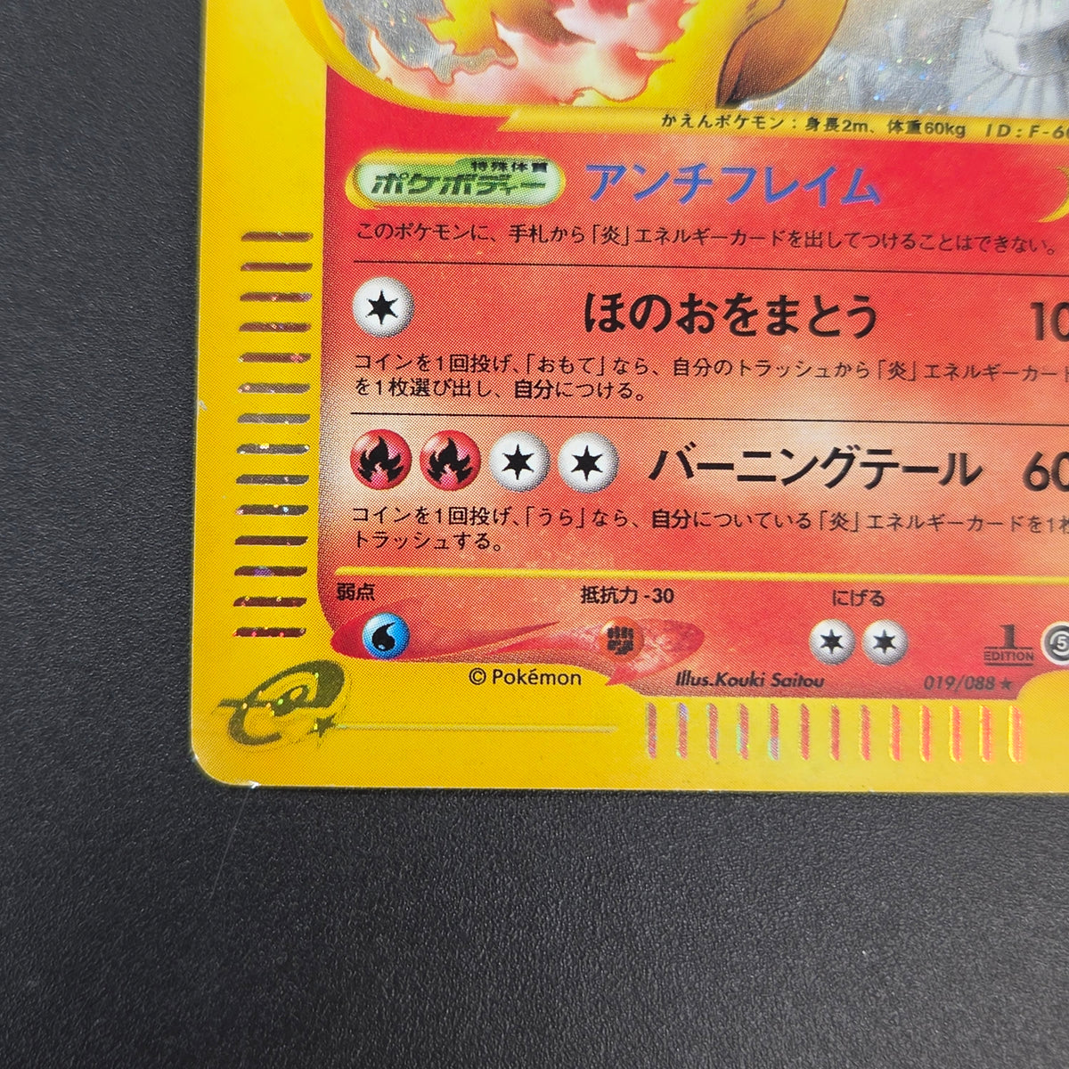 Moltres 019/088 Mysterious Mountains Holo 1st Ed e Card