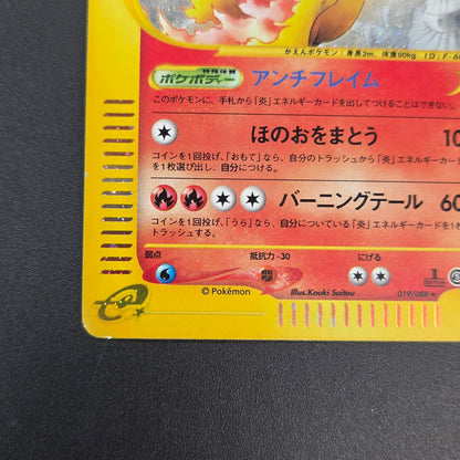 Moltres 019/088 Mysterious Mountains Holo 1st Ed e Card