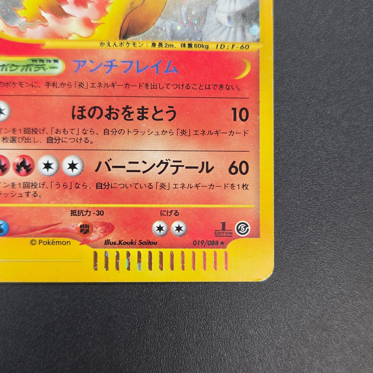 Moltres 019/088 Mysterious Mountains Holo 1st Ed e Card