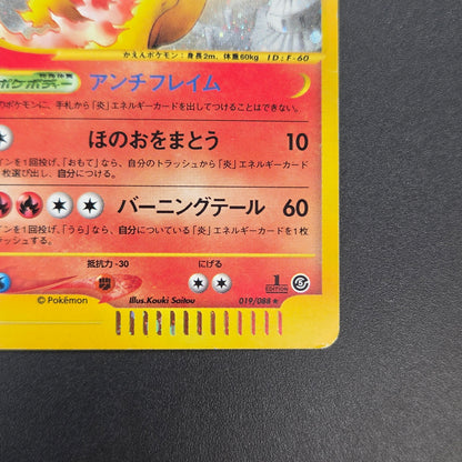 Moltres 019/088 Mysterious Mountains Holo 1st Ed e Card