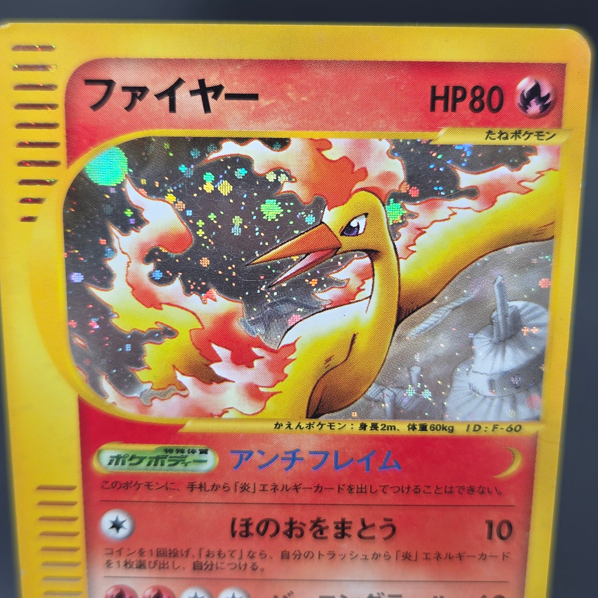 Moltres 019/088 Mysterious Mountains Holo 1st Ed e Card