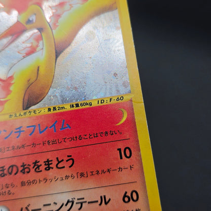 Moltres 019/088 Mysterious Mountains Holo 1st Ed e Card