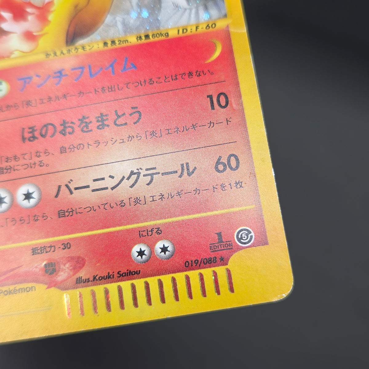 Moltres 019/088 Mysterious Mountains Holo 1st Ed e Card