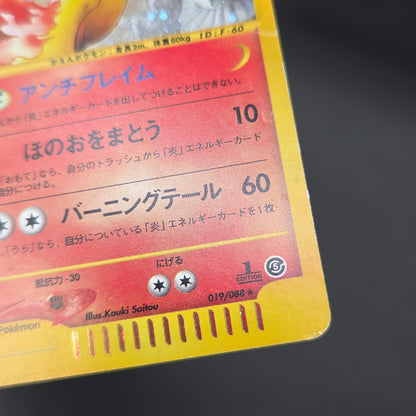 Moltres 019/088 Mysterious Mountains Holo 1st Ed e Card