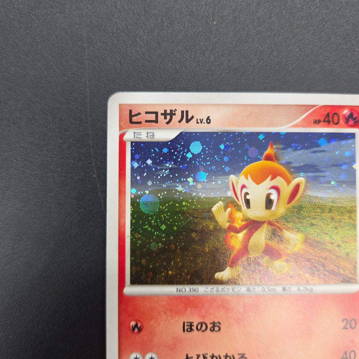 Chimchar 073/DP-P Beginner's Classroom DP Holo Promo Card