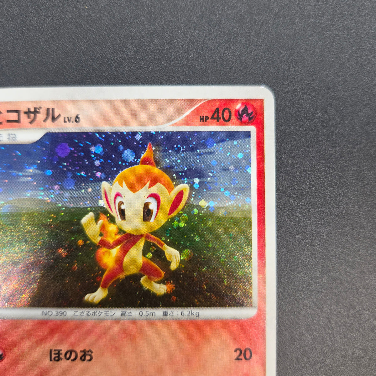 Chimchar 073/DP-P Beginner's Classroom DP Holo Promo Card