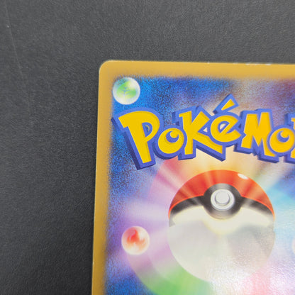 Chimchar 073/DP-P Beginner's Classroom DP Holo Promo Card