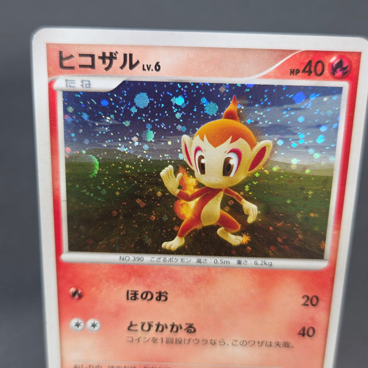 Chimchar 073/DP-P Beginner's Classroom DP Holo Promo Card