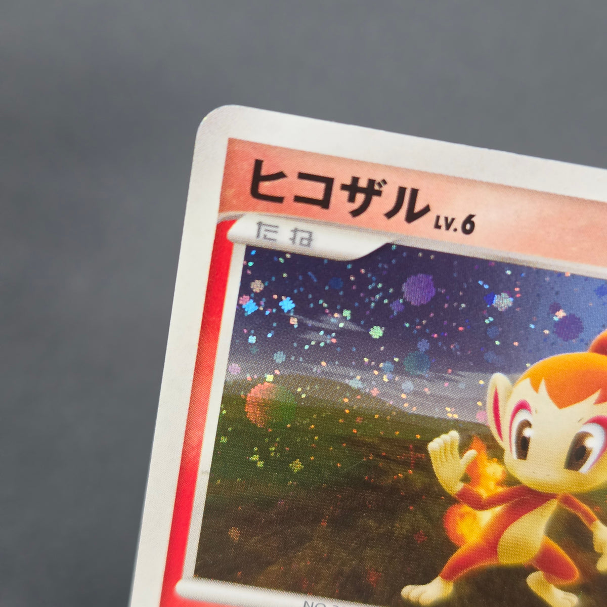 Chimchar 073/DP-P Beginner's Classroom DP Holo Promo Card