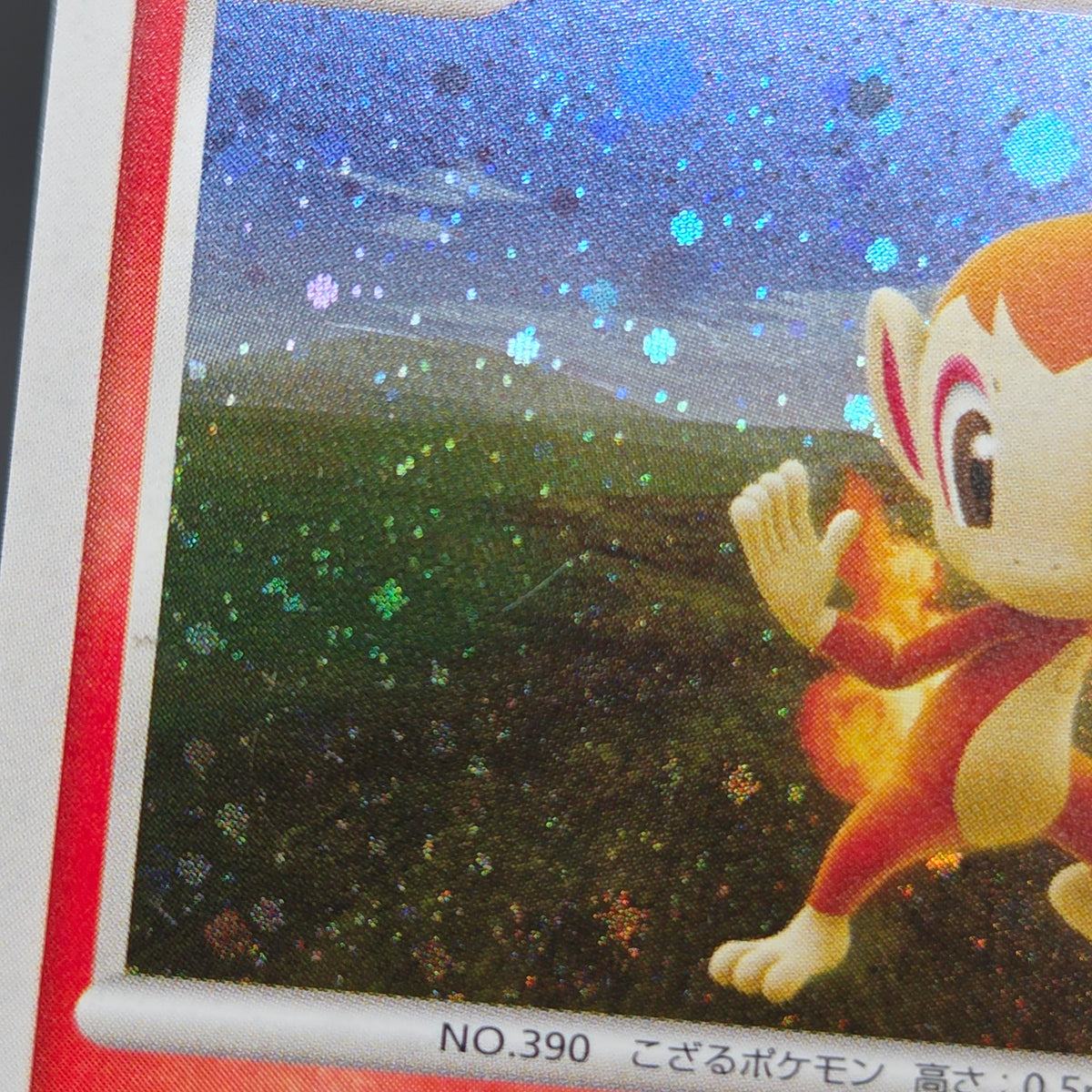 Chimchar 073/DP-P Beginner's Classroom DP Holo Promo Card