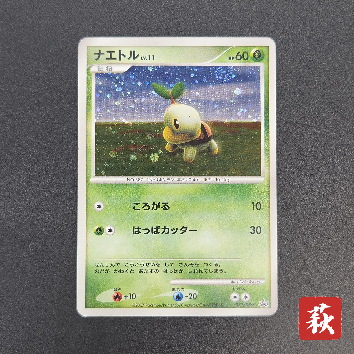 Turtwig 072/DP-P Beginner's Classroom Holo Promo Card