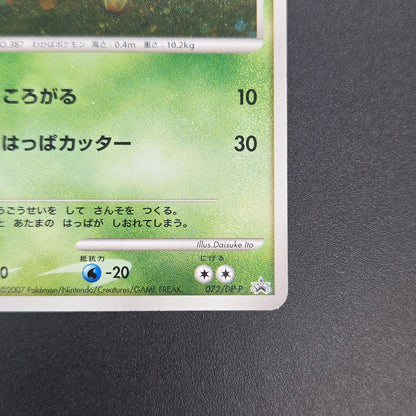Turtwig 072/DP-P Beginner's Classroom Holo Promo Card