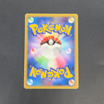 Turtwig 072/DP-P Beginner's Classroom Holo Promo Card