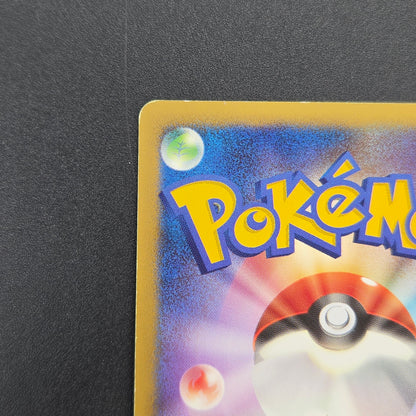 Turtwig 072/DP-P Beginner's Classroom Holo Promo Card