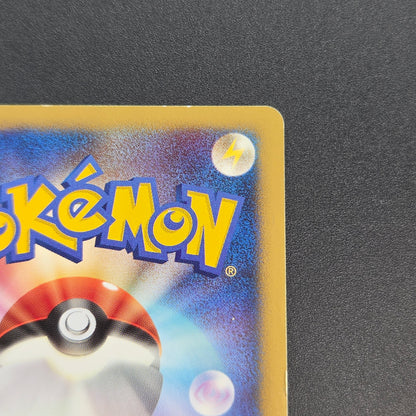 Turtwig 072/DP-P Beginner's Classroom Holo Promo Card