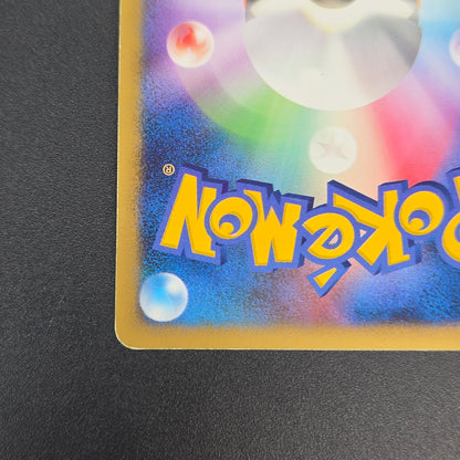 Turtwig 072/DP-P Beginner's Classroom Holo Promo Card