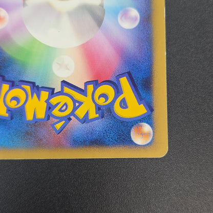 Turtwig 072/DP-P Beginner's Classroom Holo Promo Card