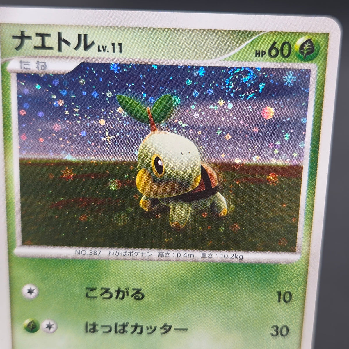 Turtwig 072/DP-P Beginner's Classroom Holo Promo Card